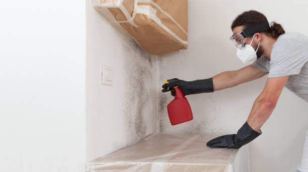 Professional Attic Mold Removal technician working in Gibson Island, MD